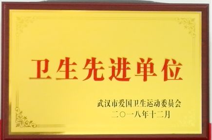 武燃设计院荣获“卫生先进单位”