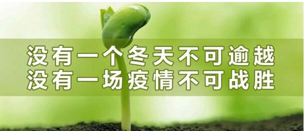武燃设计院积极组织员工下沉社区 参与疫情防控工作