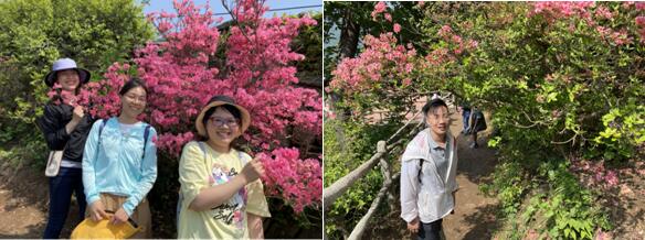 走进木兰云雾山 看漫山红遍 共赴一场浪漫“花事”