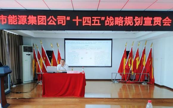 凝心聚力谋发展 笃行实干创新局｜市能源集团公司“十四五”战略规划宣贯会议在武燃设计院召开